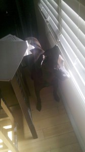 2011-09-18_15-00-00_87