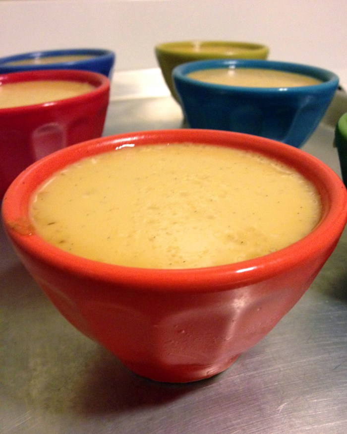 budino colorful bowls anthropology