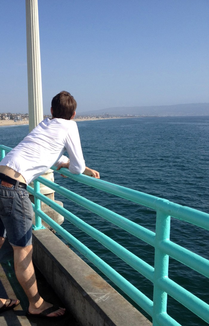 seals in the pacific ocean manhattan beach