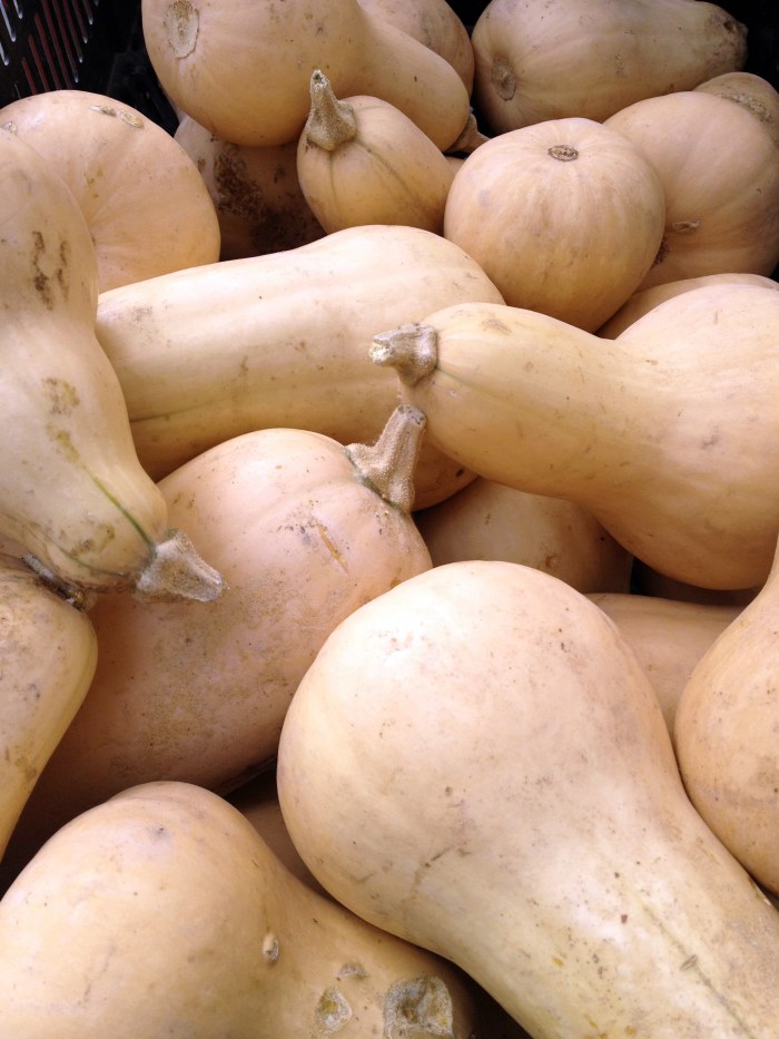 butternut squash at the santa monica farmers market
