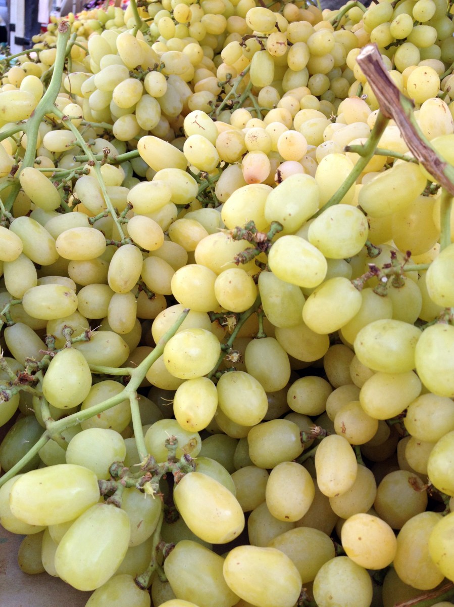 Santa Monica Farmer's Market