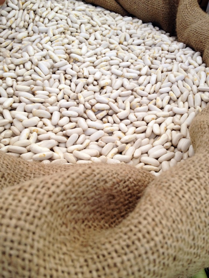 Santa Monica Farmer's Market