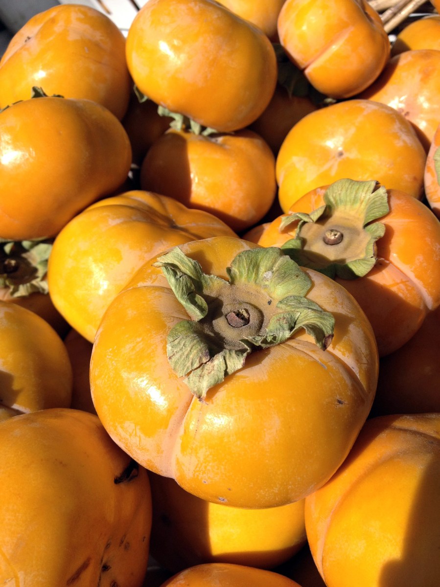 Santa Monica Farmer's Market