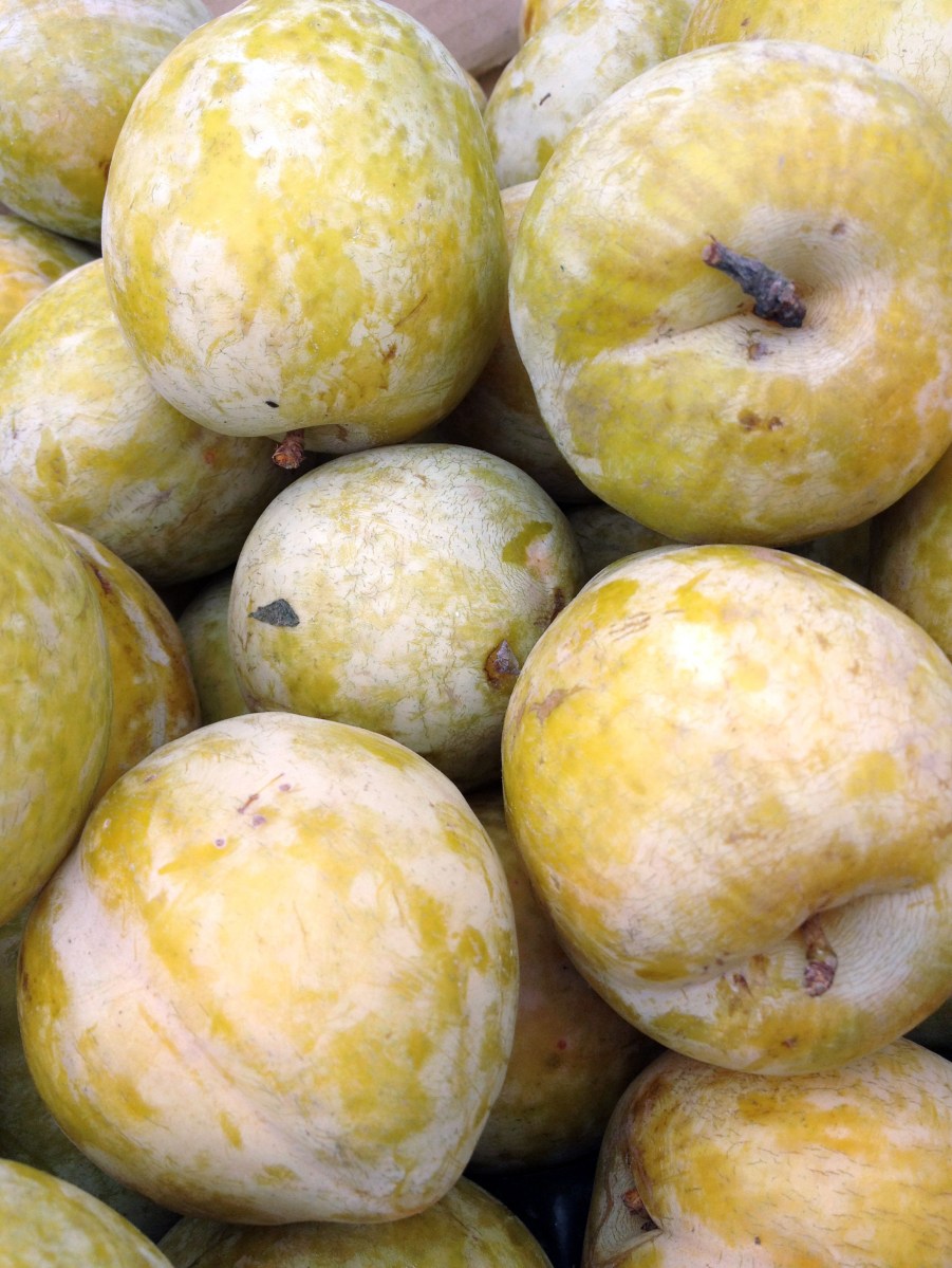 Santa Monica Farmer's Market