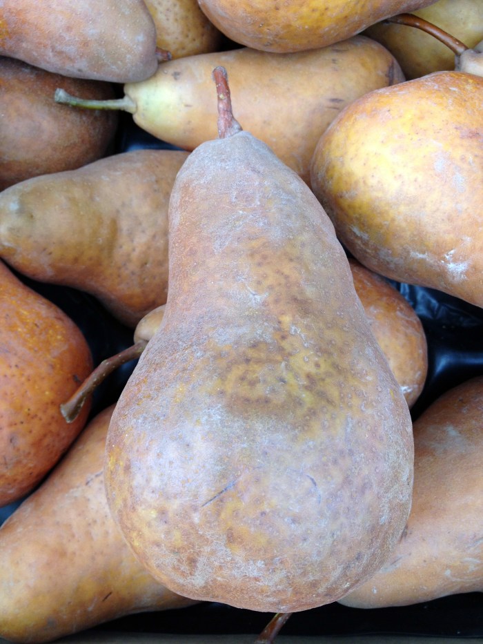 Santa Monica Farmer's Market