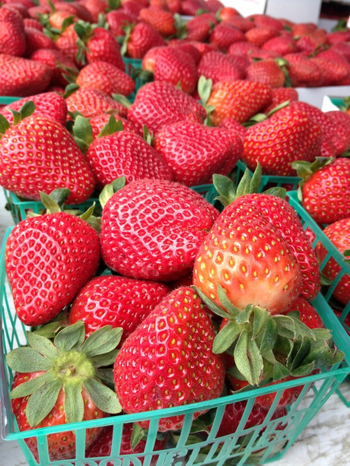 Glorias Strawberries