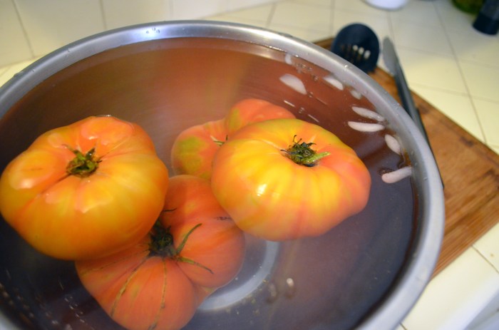 tomatoes in an icebath
