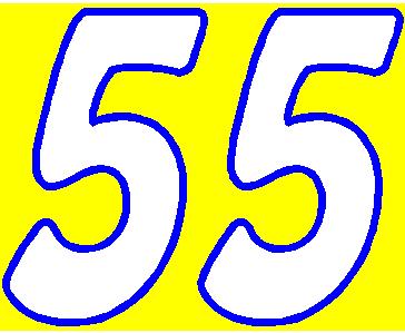 55b_2COLOR_nascar