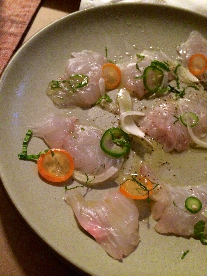 snapper crudo