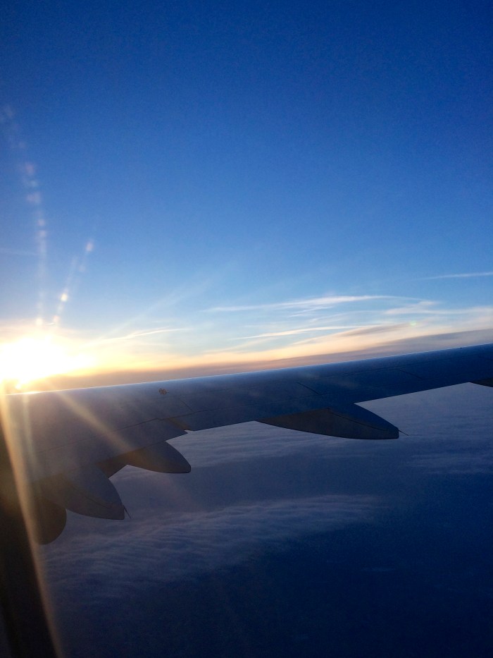 sunset over airplane wing