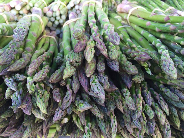 spring at santa monica farmers market