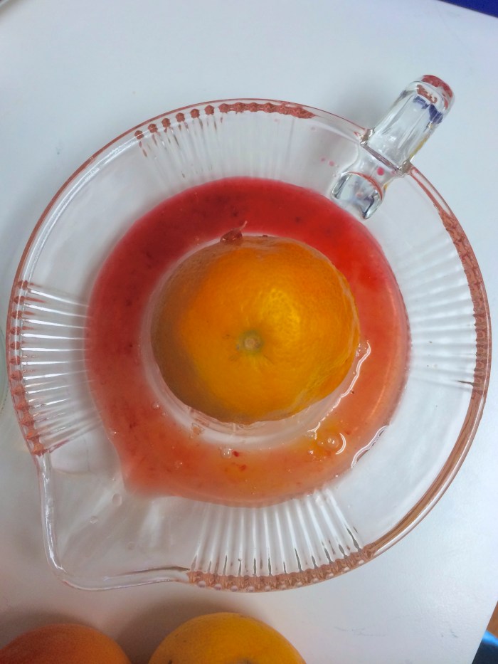 blood orange gin and tonics