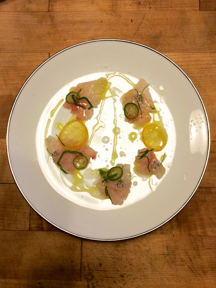 snapper crudo