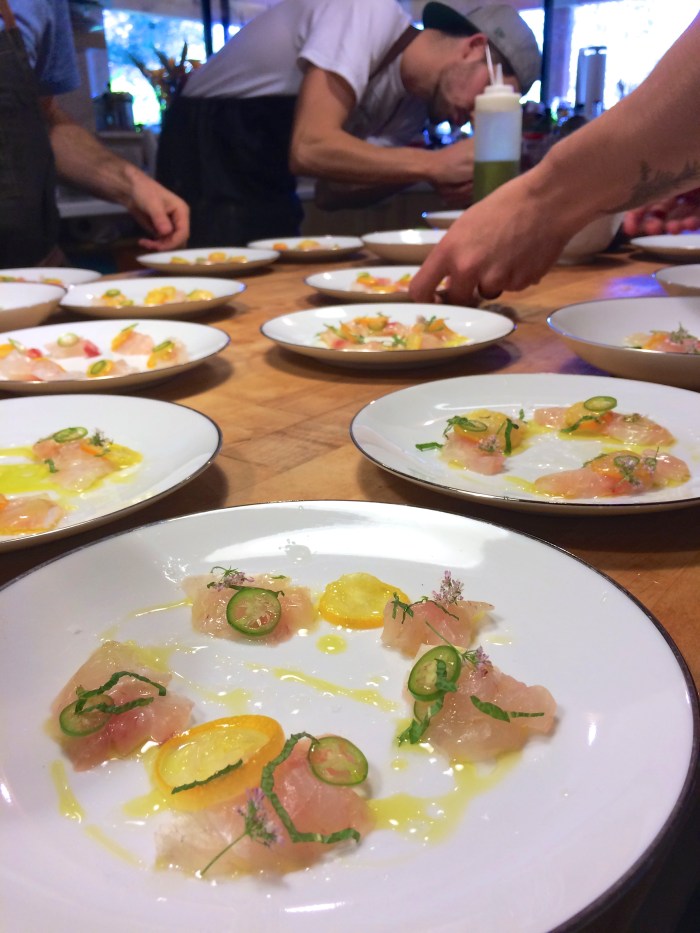 snapper crudo