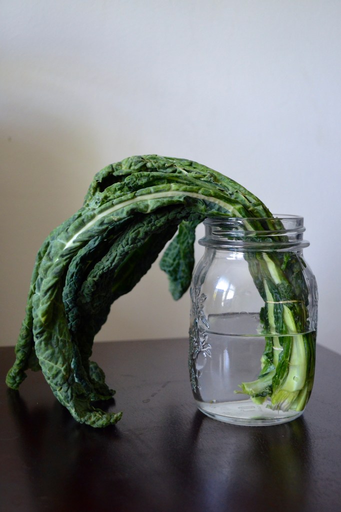 limp kale key of kels