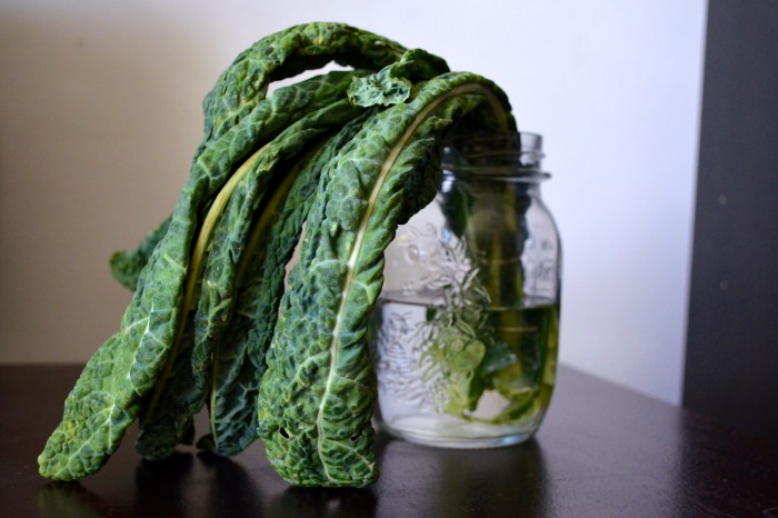 limp kale key of kels