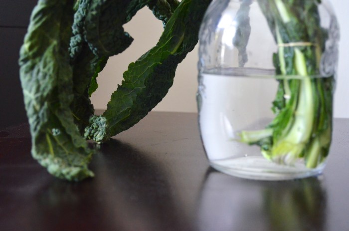 limp kale key of kels