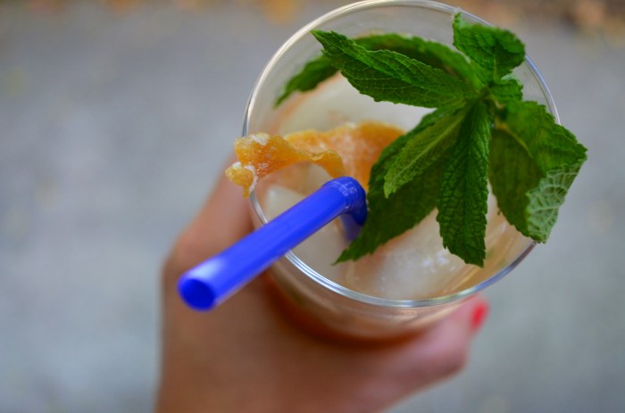 grapefruit mint julep