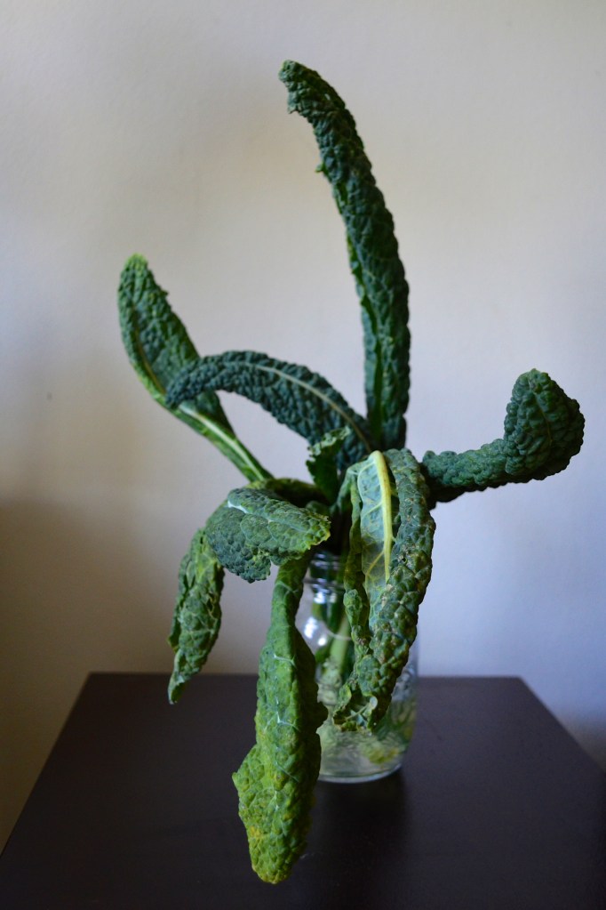 back to life kale with the key of kels