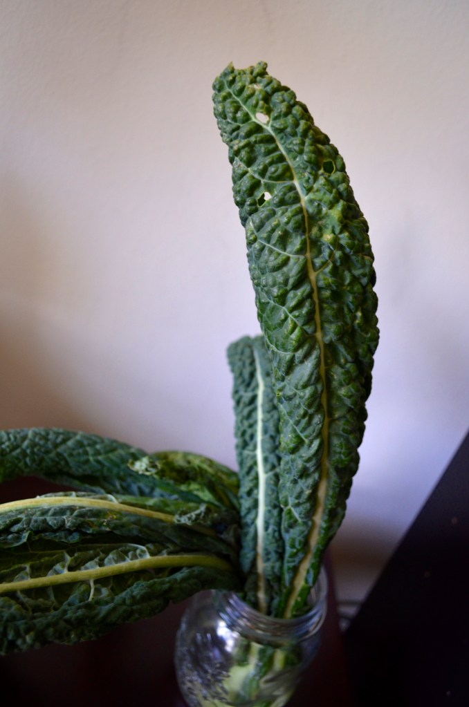 back to life kale with the key of kels