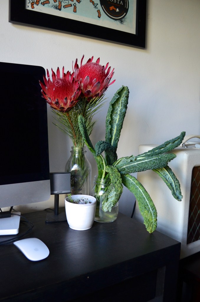 Kale arrangement with protea