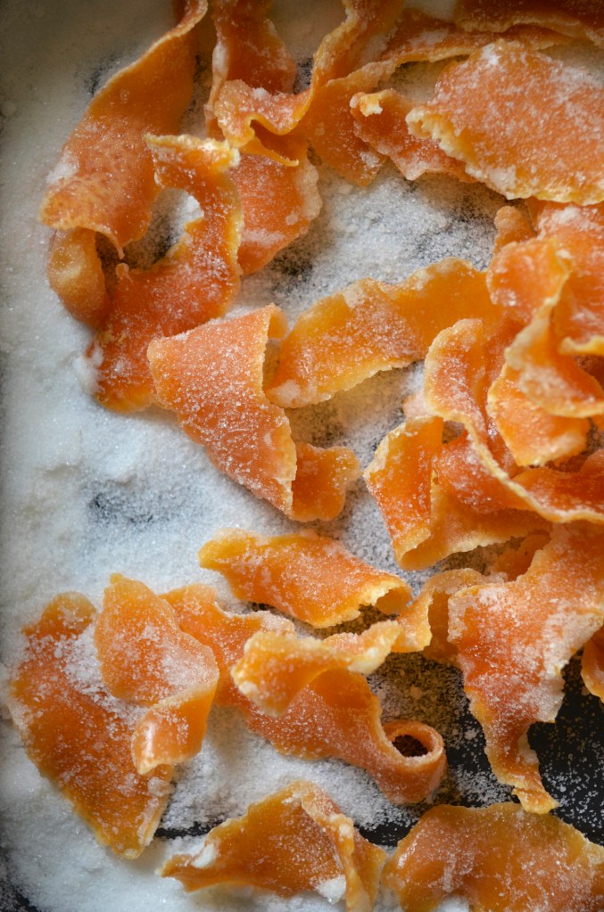 Candied Grapefruit Peel